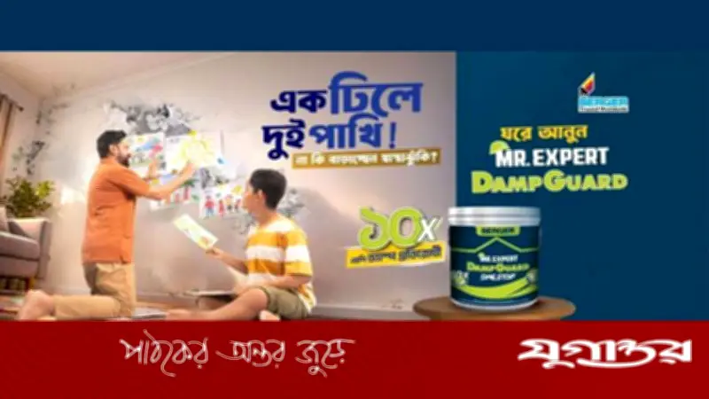 ড্যাম্পের দেয়ালে ভূগোল! বার্জার মি. এক্সপার্ট ড্যাম্প গার্ডে সমাধান
