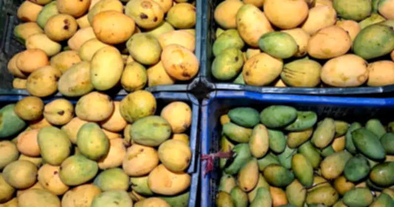 প্রাকৃতিক আম চেনার ৫টি সহজ উপায়