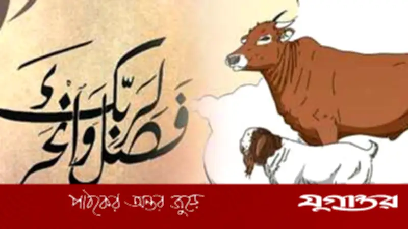 এ বছর কত টাকা থাকলে কুরবানি ওয়াজিব? ইসলামের নির্দেশনা