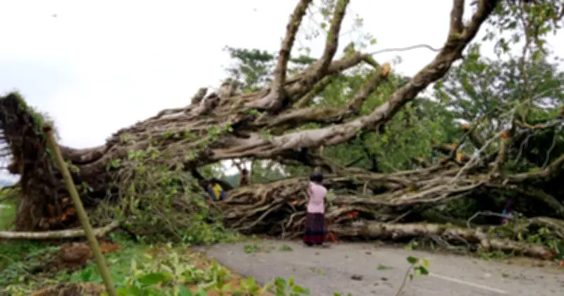 নওগাঁয় কালবৈশাখীতে ব্যাপক ক্ষয়ক্ষতি, ঘরবাড়ি ও ফসলের ক্ষতি