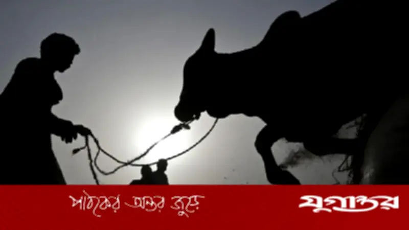 সৌদির সঙ্গে মিলিয়ে ঈদুল আজহা পালন করবে পাকিস্তান