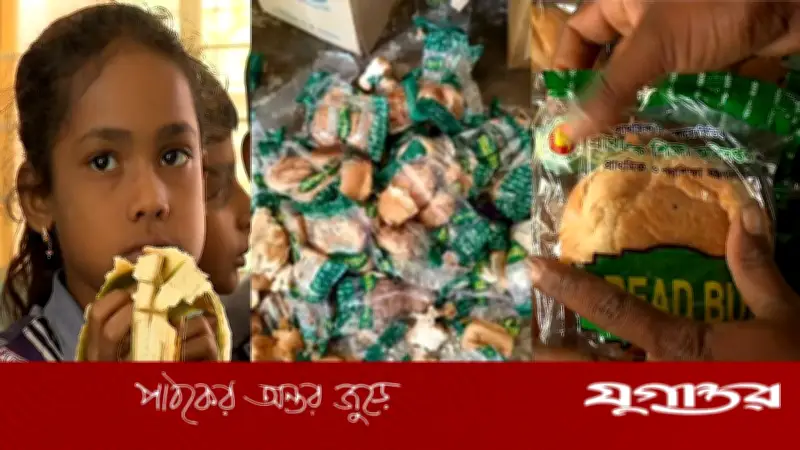 স্কুল ফিডিং প্রকল্পে দুর্নীতি: ৫ সদস্যের তদন্ত কমিটি গঠন