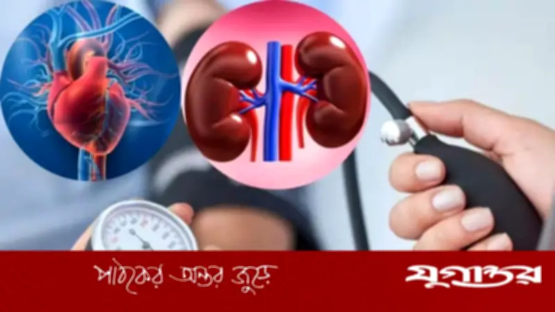কিডনি রোগের প্রাথমিক লক্ষণ উচ্চ রক্তচাপ, সতর্ক থাকুন