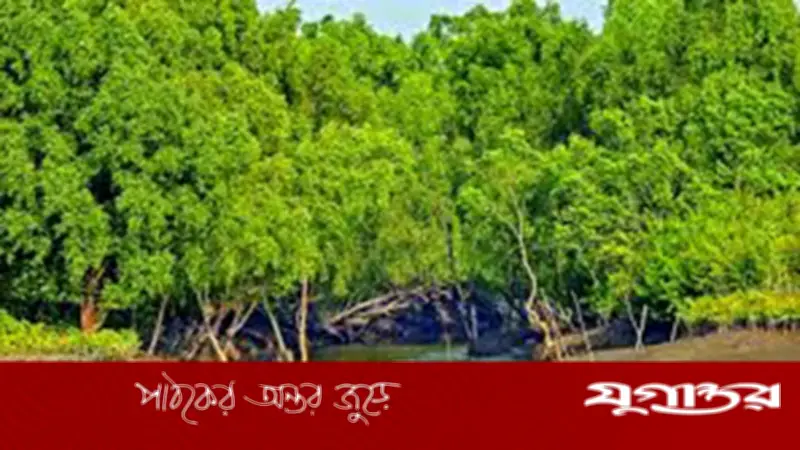 সুন্দরবনে বন বিভাগের গুলিতে জেলে নিহত, তদন্তের দাবি