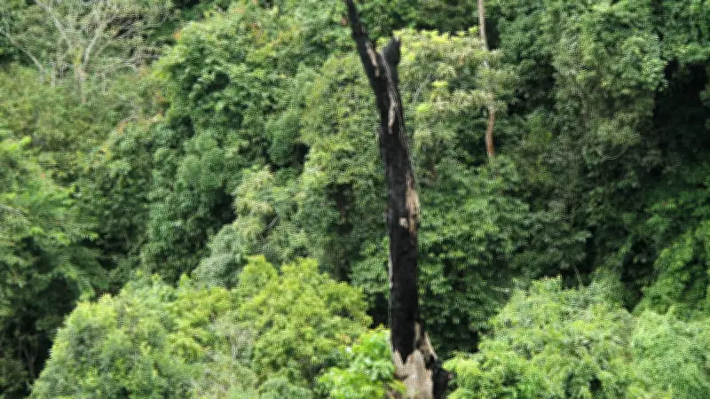 বন ও বন্য প্রাণী রক্ষায় গ্রামবাসীর কঠোর অবস্থান