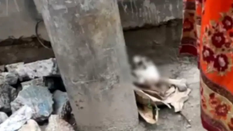 রাস্তায় মানব খুলি-হাড়, ইরানের তেল নিষেধাজ্ঞা শিথিলে রাজি যুক্তরাষ্ট্র