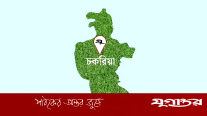 লিচুর বিচি গলায় আটকে ১০ মাসের শিশুর মৃত্যু চকরিয়ায়