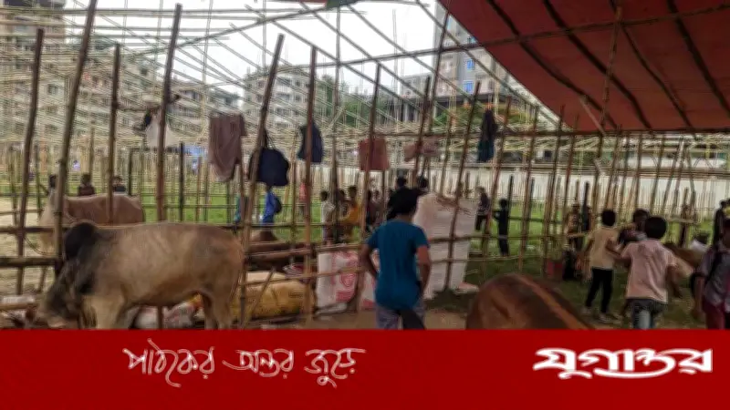কেরানীগঞ্জে বিএনপি নেতাদের হাতে ৫ পশুর হাটের ইজারা, রাজস্ব কমেছে কোটিতে