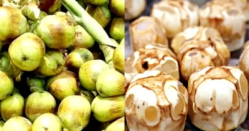 গরমে তালের শাঁসের পুষ্টিগুণ ও স্বাস্থ্য উপকারিতা