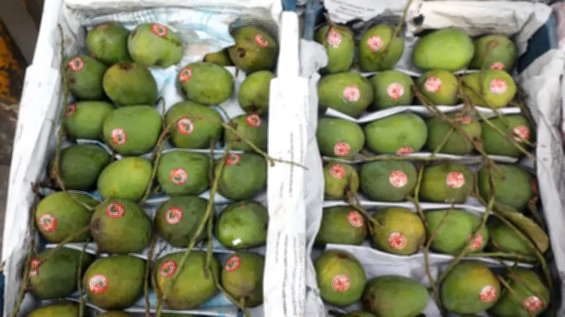 চট্টগ্রামের বাজারে শুরু হয়েছে আমের মৌসুম, দাম হাতের নাগালে