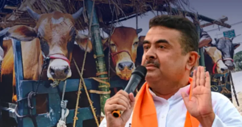 ঈদের আগে গরু কেনা বন্ধ, বিপাকে হিন্দু ব্যবসায়ীরা