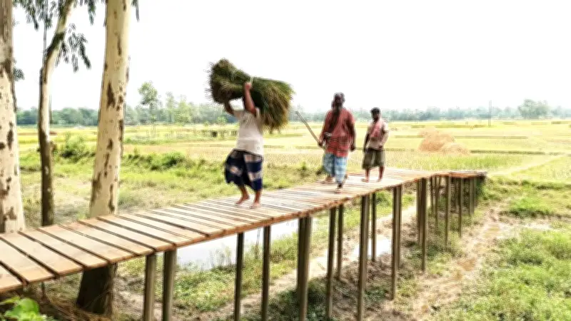 বিএনপি নেতার উদ্যোগে ফসল পারাপারের দুর্ভোগ কমাতে এমপি শান্তর ভূমিকা
