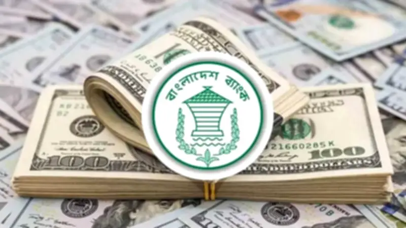 ছয় ব্যাংক থেকে আরো ৮৫ মিলিয়ন ডলার কিনলো বাংলাদেশ ব্যাংক