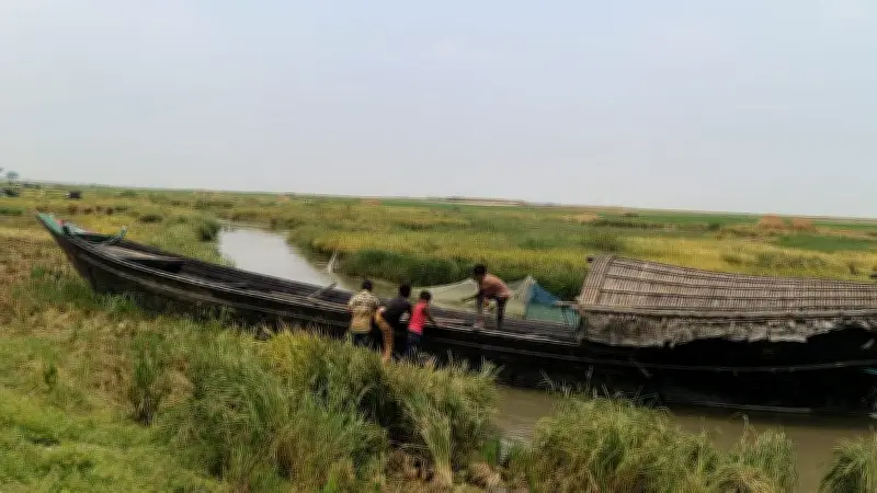 গ্রামের নির্মল শৈশব ও প্রকৃতির অপার সৌন্দর্য