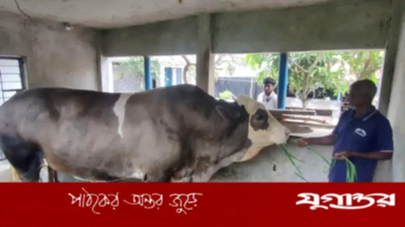 বরিশালে ট্রাক-মোটরসাইকেল সংঘর্ষে নিহত ২