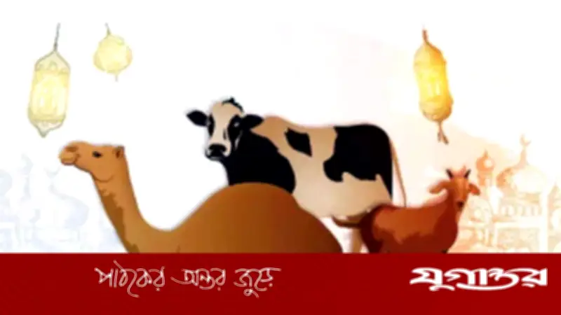 দাতব্য সংস্থার মাধ্যমে কুরবানি করলে ওয়াজিব আদায় হবে?