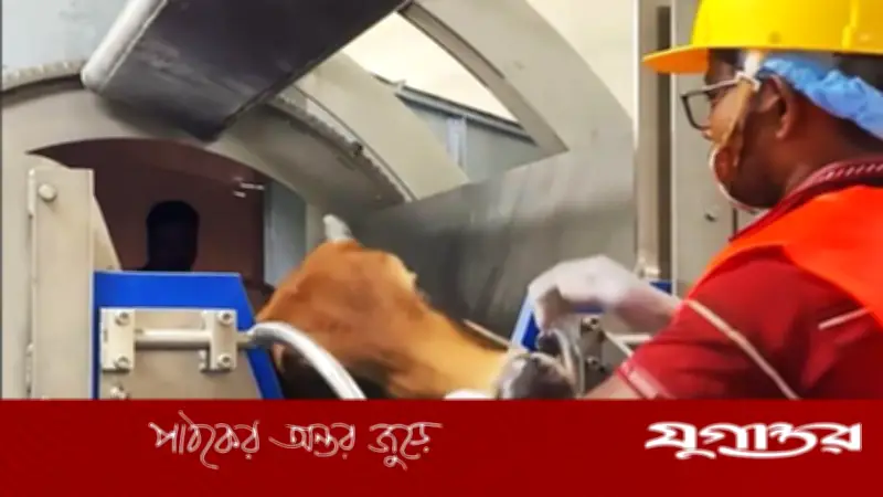 বগুড়ায় ১১ কোটি টাকায় আধুনিক কসাইখানা উদ্বোধন