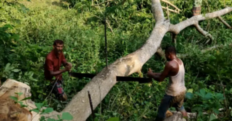 ফরিদপুরে খাল পুনঃখননে ২০০ গাছ কাটার অভিযোগ
