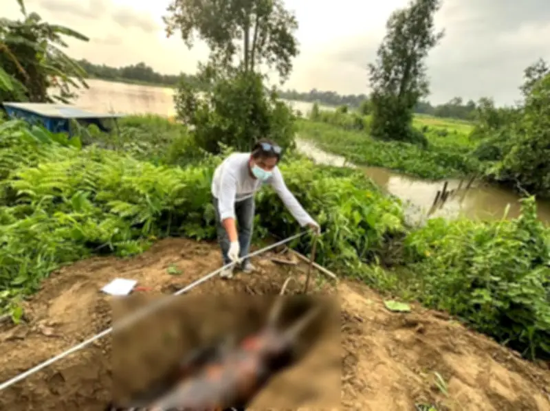 হালদা নদী থেকে আরেক ডলফিনের মরদেহ উদ্ধার, উদ্বেগ বাড়ছে
