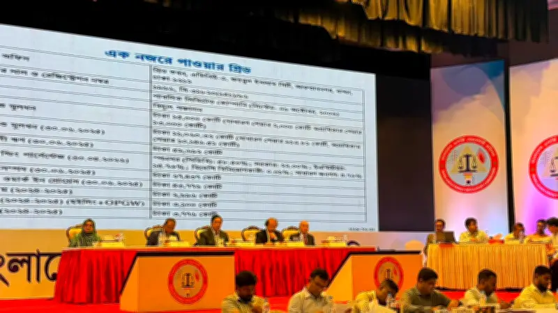পাইকারি বিদ্যুৎ দাম বৃদ্ধির বিরোধিতা গণশুনানিতে