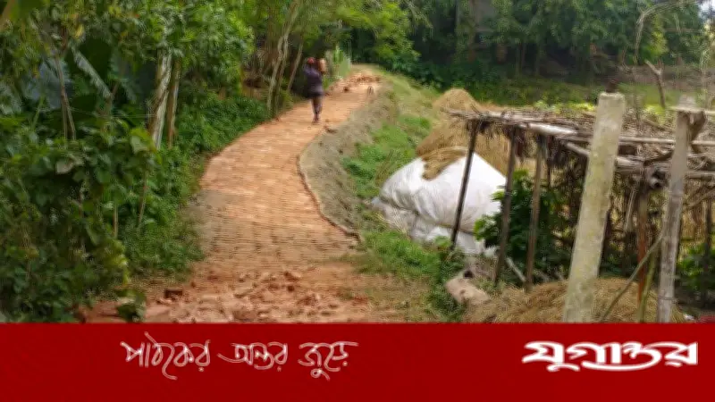 বাংলাদেশে শিক্ষা খাতে নতুন নীতিমালা প্রণয়ন