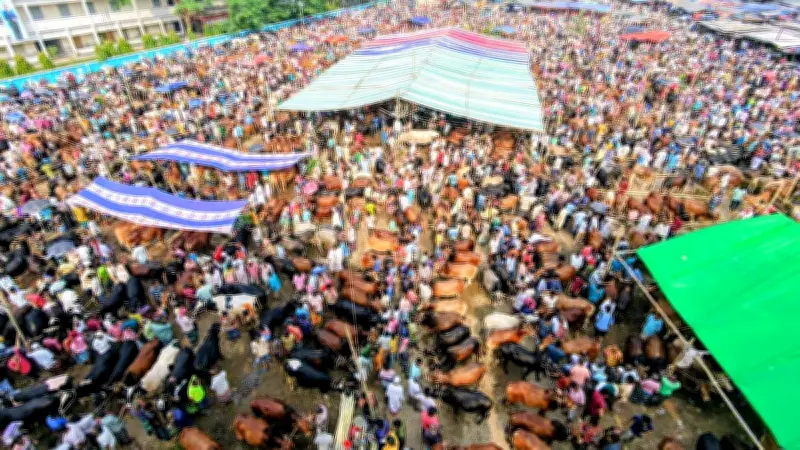 মহাস্থান হাটে কোরবানির পশুর হাসিলে চাঁদাবাজির অভিযোগ