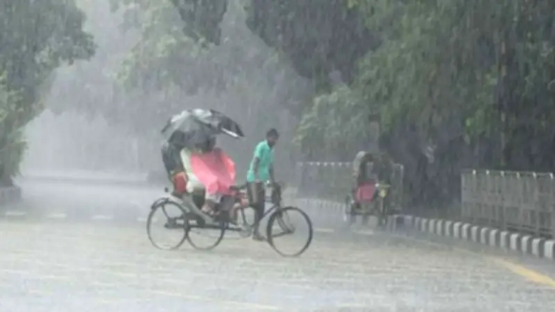 অস্ট্রেলিয়া সিরিজের আগে পাকিস্তানে জোড়া ধাক্কা, ৬ অঞ্চলে বজ্রসহ বৃষ্টি
