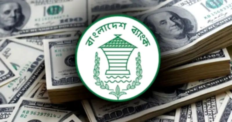 ঈদুল আজহায় রেমিট্যান্স প্রবাহে চাঙা ভাব, প্রথম ২০ দিনে ২৬২ কোটি ডলার