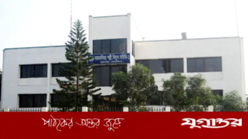 এক পাখির ধাক্কায় টাঙ্গাইলের পাঁচ উপজেলায় বিদ্যুৎ বিপর্যয়