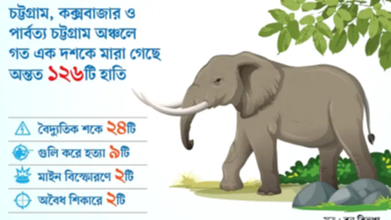 কক্সবাজারে মৃত হাতির চোখে গুলি, ৬১ গ্রাম ওজনের গুলি উদ্ধার