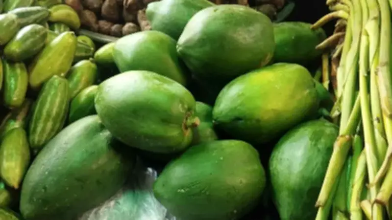 পেঁপের দামে অস্বস্তি, জাপানকে রাজস্ব দিয়ে থার্ড টার্মিনাল