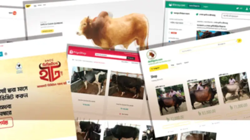 অনলাইনে কোরবানির পশু কেনাবেচায় নতুন মাত্রা, স্বচ্ছতা ও নিরাপত্তা বড় বৈশিষ্ট্য