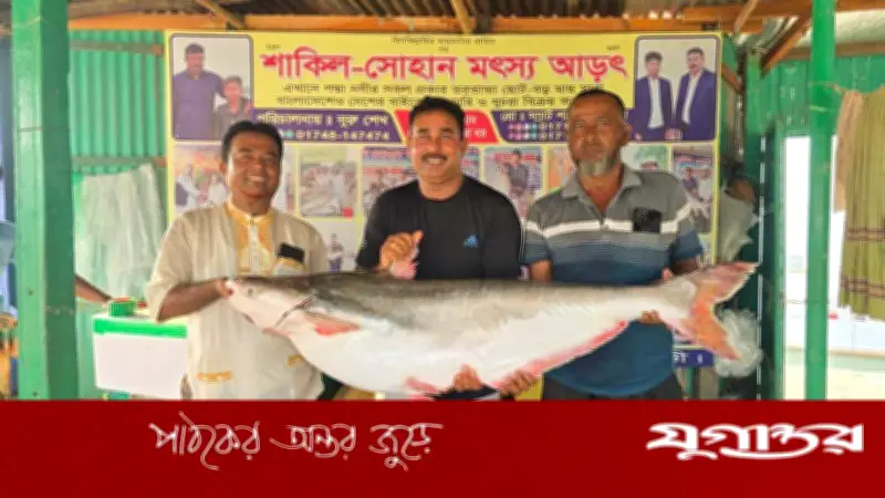 গোয়ালন্দে জেলের জালে ৩০ কেজির পাঙ্গাশ, ৬০ হাজারে বিক্রি