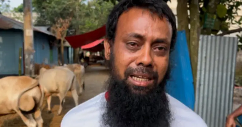 ফেনীতে অস্ত্রের মুখে জিম্মি করে গরু ছিনতাই