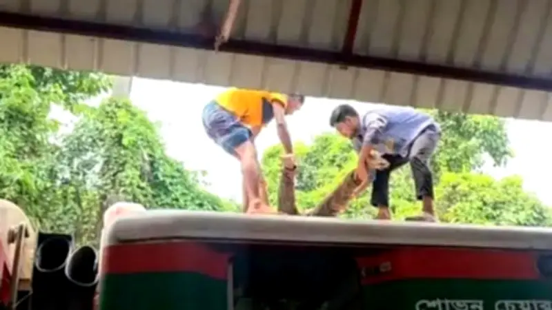 কুষ্টিয়ায় ট্রেনের ছাদে যুবকের রক্তাক্ত মরদেহ উদ্ধার