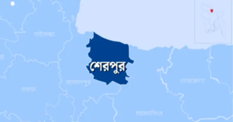 শেরপুরে ১২ বছরের শিশু ধর্ষণ ও গর্ভপাত, গ্রেপ্তার ১