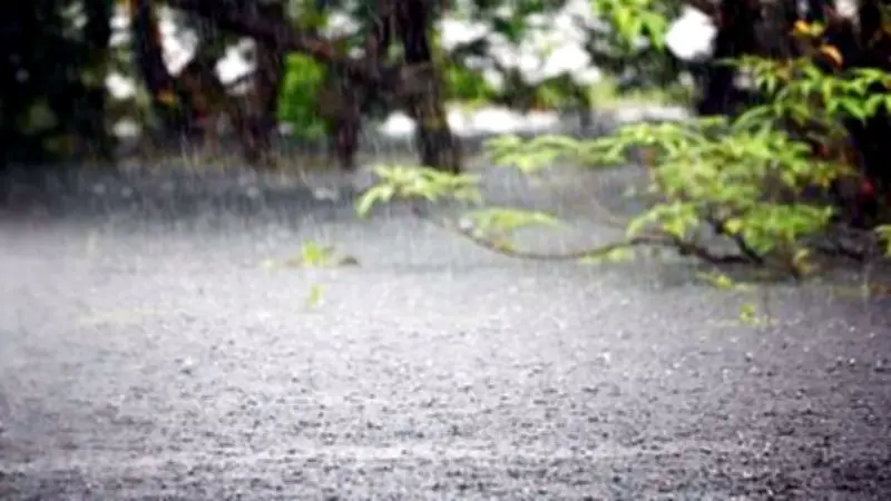 ৪ অঞ্চলে ঝড়-বৃষ্টির সতর্কতা, সরকারি চাকরিজীবীদের শেষ কর্মদিবস আজ