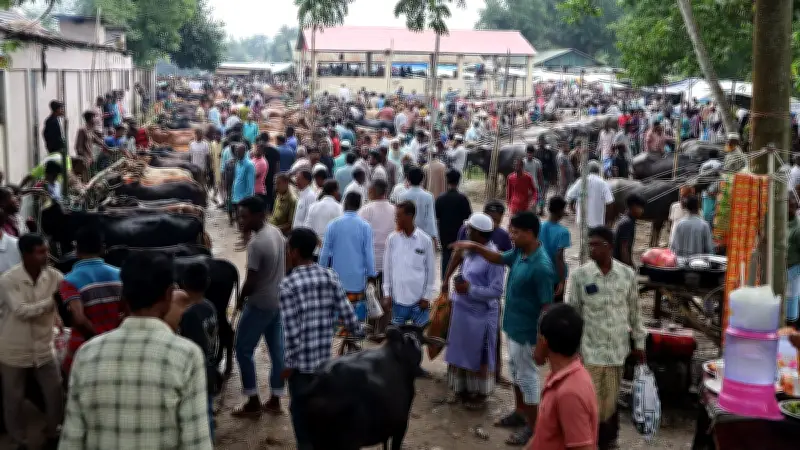 কোরবানির হাটে বিক্রির অপেক্ষায় স্থানীয় গরু-মহিষ