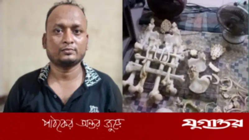 রাজধানীর আরমানিটোলায় চার কঙ্কাল উদ্ধার, গ্রেফতার ১
