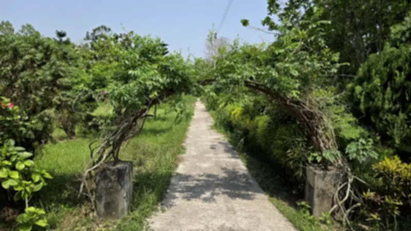 অবহেলায় রাজশাহী বিশ্ববিদ্যালয়ের বোটানিক্যাল গার্ডেন: সংকটে জীববৈচিত্র্য