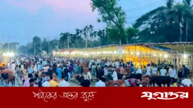 হাটহাজারীতে রেললাইনের ওপর অবৈধ পশুর হাট, দুর্ঘটনার আশঙ্কা