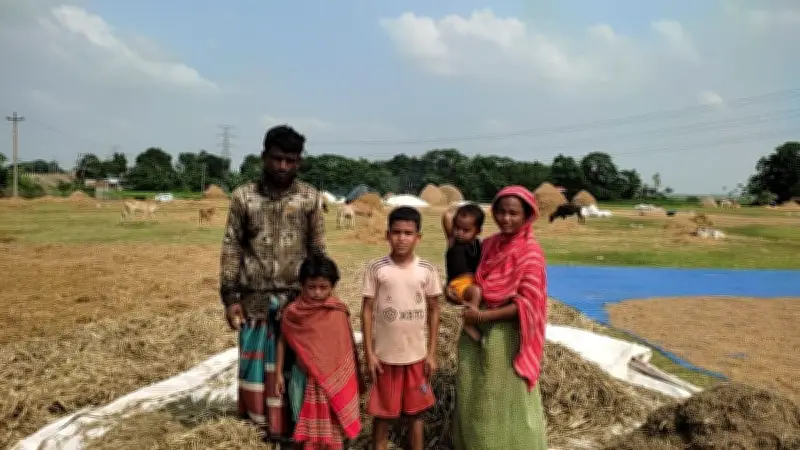 হাওরে বৃষ্টিতে বোরো ধানের ব্যাপক ক্ষতি, কৃষকদের স্বপ্ন ভঙ্গ