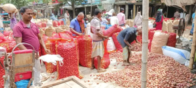পেঁয়াজের দাম কমে বিপাকে পাবনার কৃষক, ঈদ অর্থনীতিতে স্থবিরতা