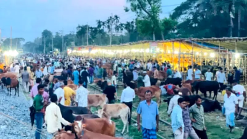 সাগরে নিখোঁজ পর্যটকের মরদেহ ১৮ ঘণ্টা পর উদ্ধার