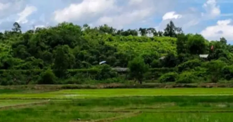 ঘুমধুম সীমান্তে মাইন বিস্ফোরণে তিনজন নিহত