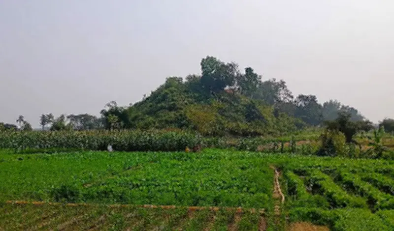 বান্দরবানে মাইন বিস্ফোরণে তিন বাংলাদেশি নিহত
