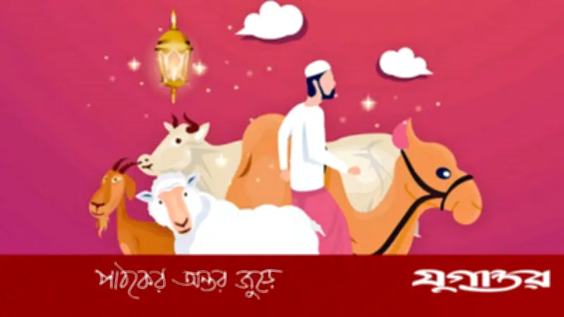 কুরবানির নির্ধারিত সময় কতদিন? জানুন শরিয়তের গুরুত্বপূর্ণ বিধান