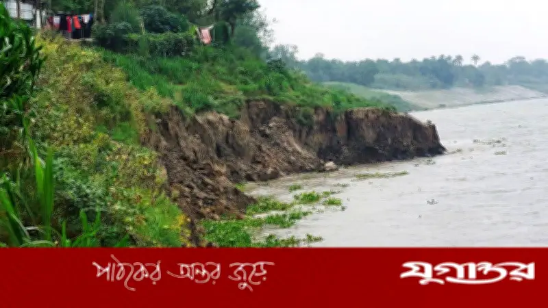 পদ্মার ভাঙনে নিঃস্ব পরিবার, জিওব্যাগ ফেলে সাময়িক প্রতিরোধ