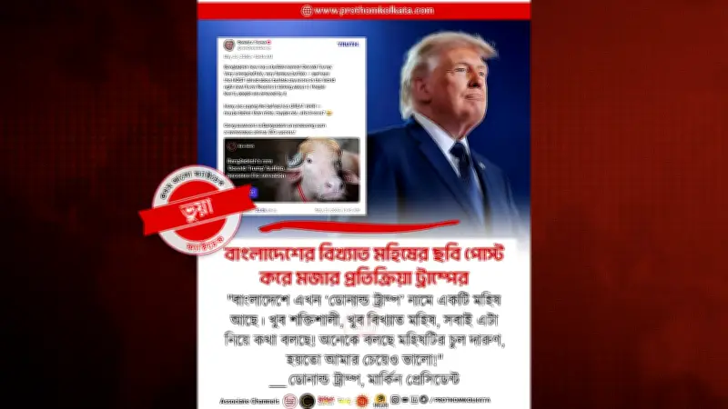 ভুয়া দাবি: ট্রাম্প বাংলাদেশের অ্যালবিনো মহিষ নিয়ে পোস্ট করেননি
