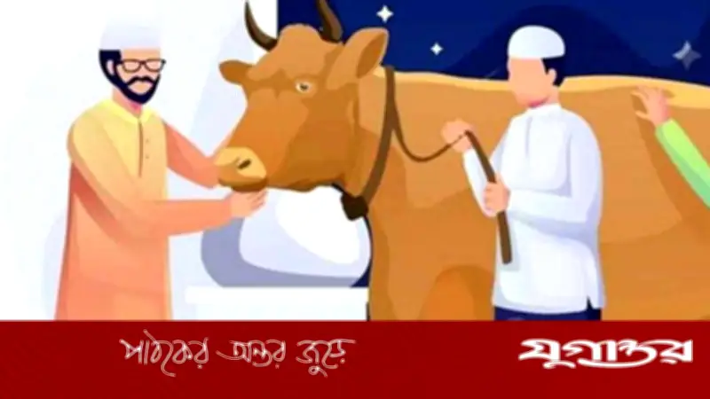 অপবিত্র অবস্থায় কুরবানি করলে আদায় হবে? জানুন শরিয়তের বিধান
